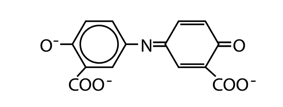 废水检测伎俩及仪器(图3)