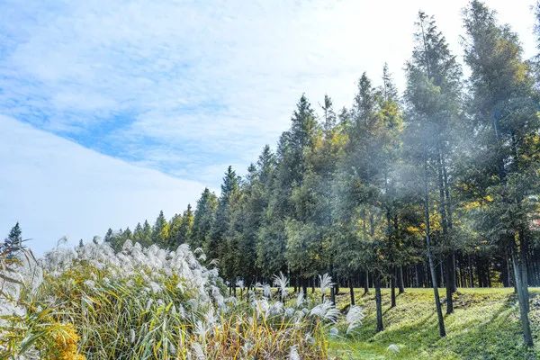 博乐体育：贵阳市生态处境局“四精”的确抓好处境气氛质料保险就业