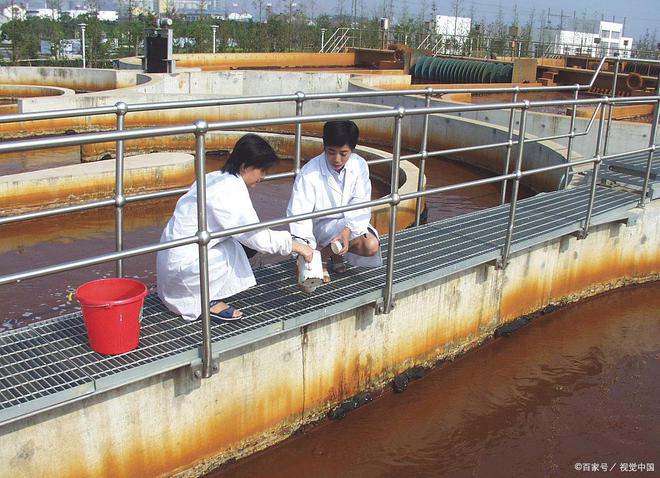 博乐体育：夏芮“污水检测”验毒 助力禁毒回击(图1)