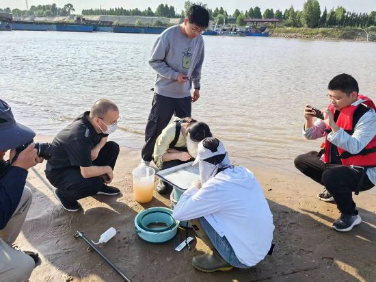 博乐体育：聊城生态情况监测中央出力晋升生态质地监测本领(图4)