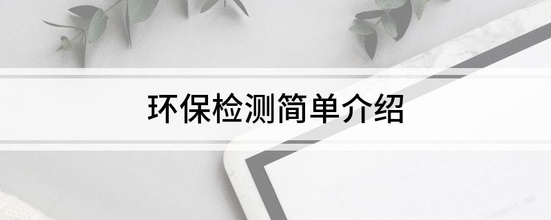 开云手机版APP：环保检测简单介绍