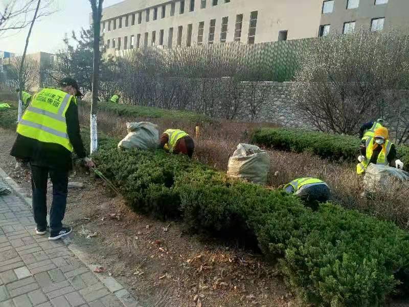 开云手机版平台：深圳绿化种植土壤检测 园林土壤检测