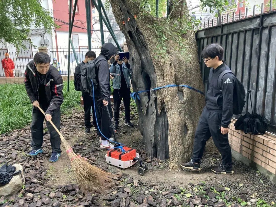 开云手机版官网：每日一词国土绿化 land greening