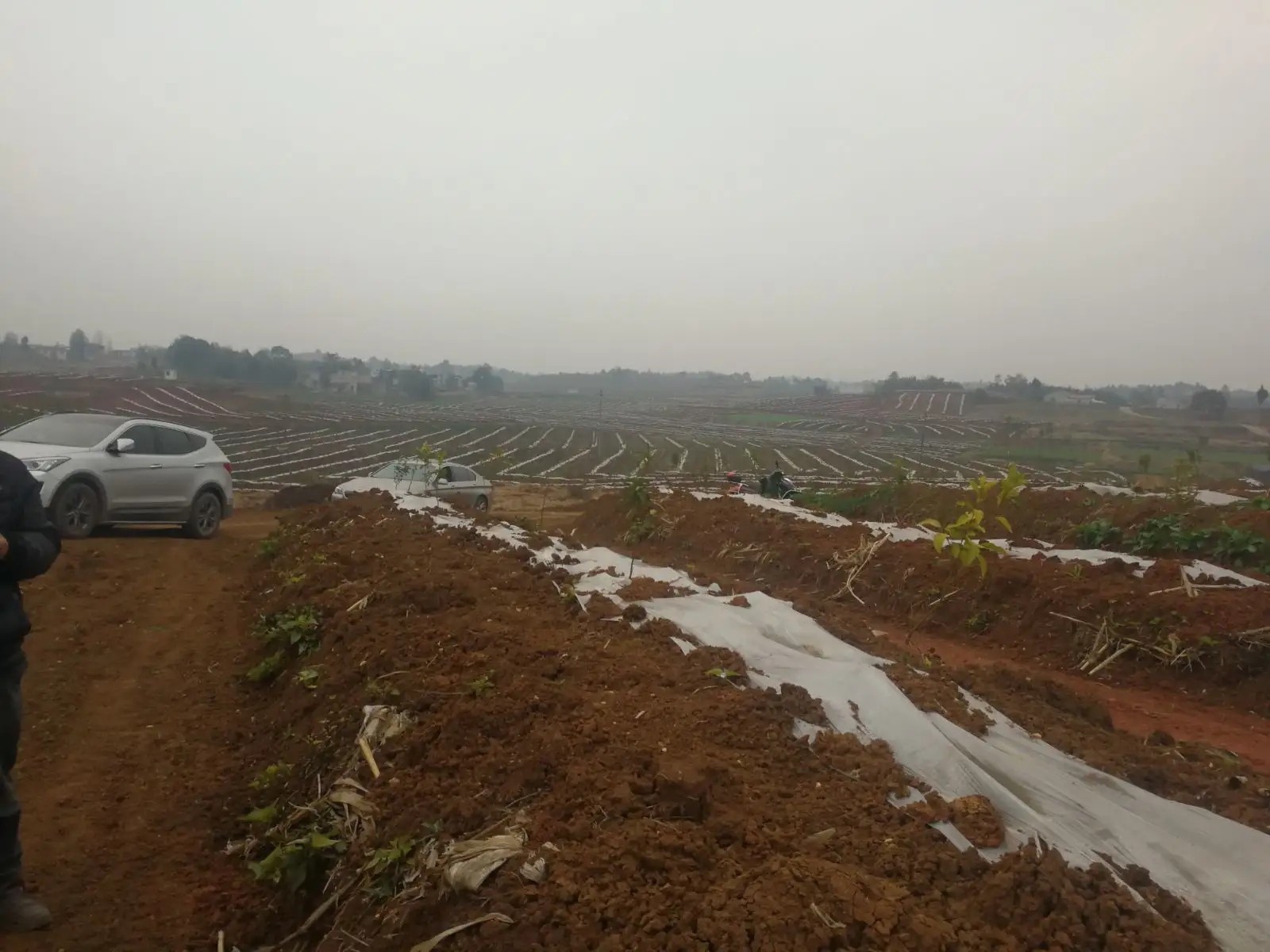 东莞园林种植土检测 绿化种植土壤检测