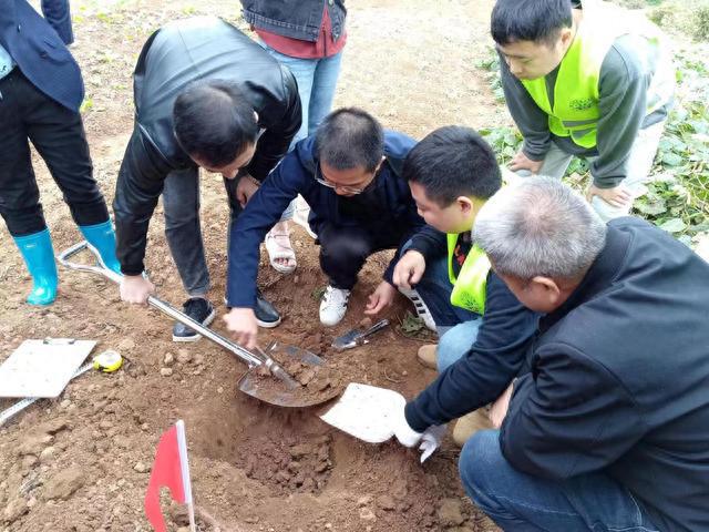 土壤“全面体检”开启 涉及全市所有耕地园地林地草地等