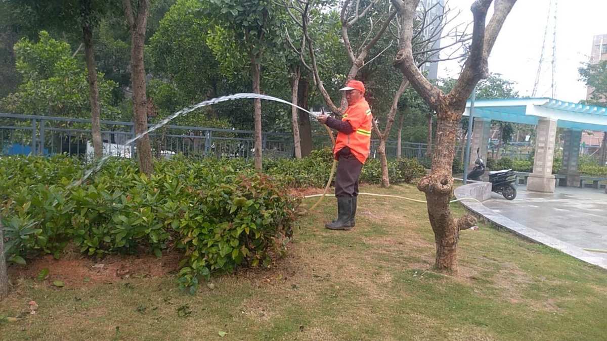 园林绿化种植土