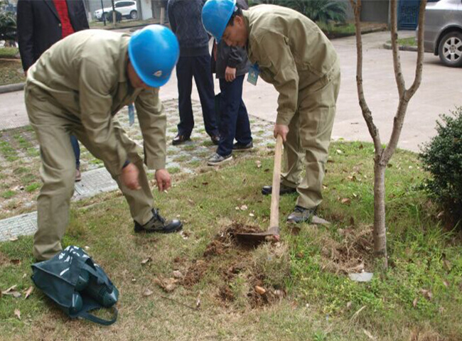 开云手机版登录：园林绿化种植土壤检测